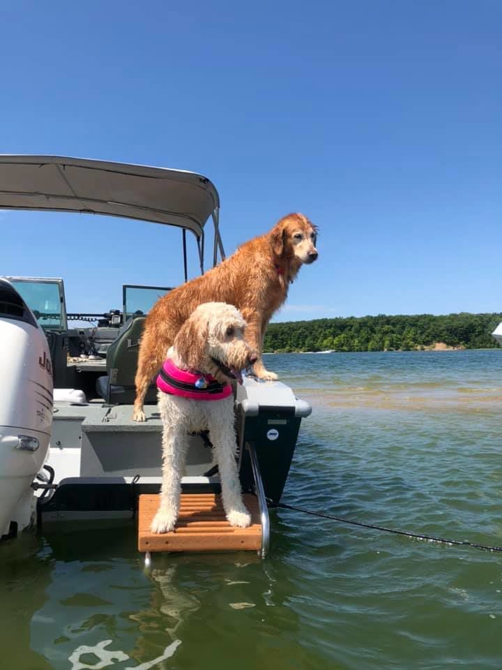 Bailey and Molly